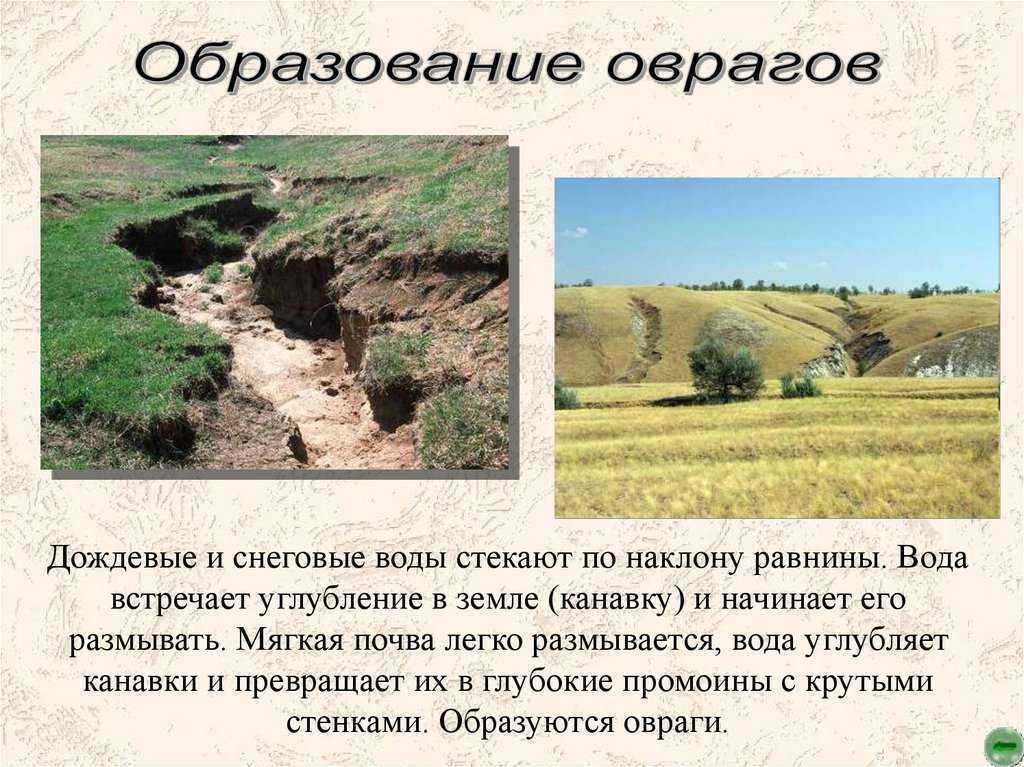 Почему и как овраги образуются и разрастаются?
