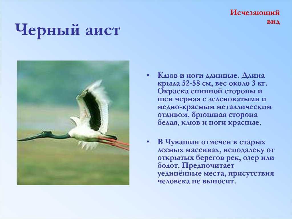 Красная книга чувашской республики