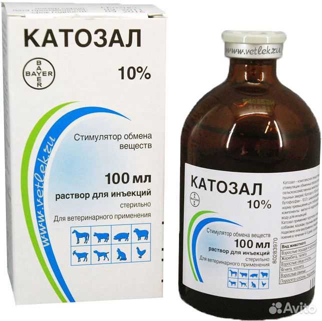 Инструкция по применению катозал для животных: кошек, собак, птиц и домашнего скота
