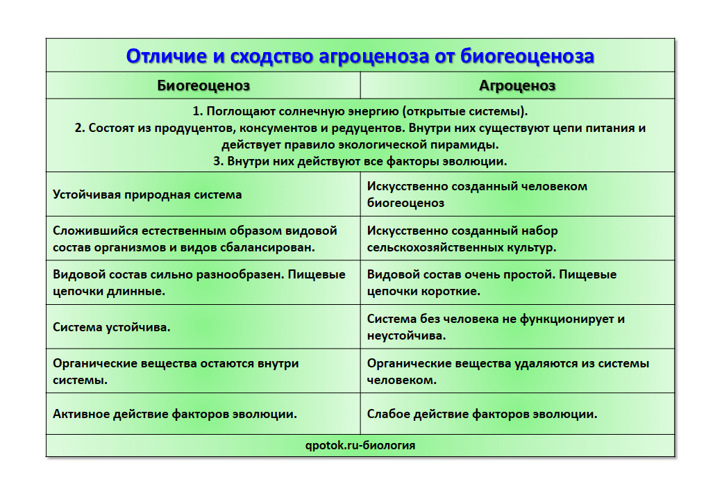 Примеры и сравнительная характеристика естественных и искусственных экосистем