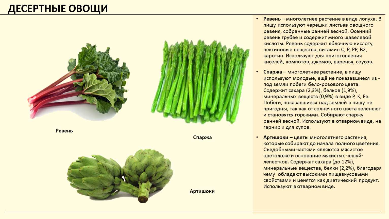 Натуральное кормление собак: рацион питания, нормы, продукты