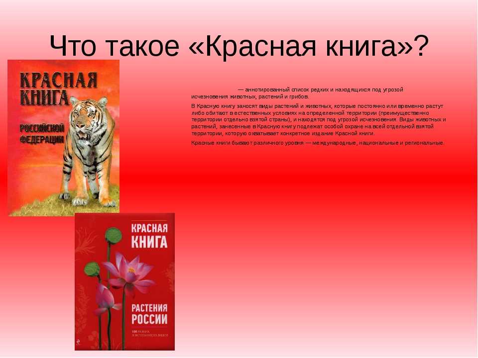 Птицы татарстана. описание, названия, виды и фото птиц татарстана. статья подробно расскажет о птицах, живущих в татарстане, их особенностях, видах и среде обитания