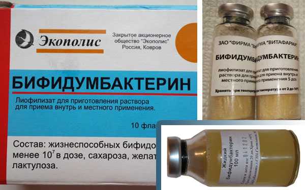 Пробиотики для собак список популярных препаратов, отзывы
