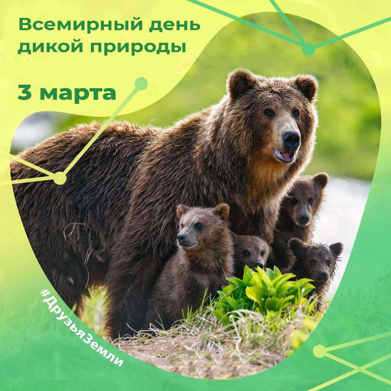 Всемирный день дикой природы 