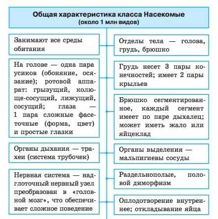 Класс насекомые: отряды и виды. развитие и типы строения органов