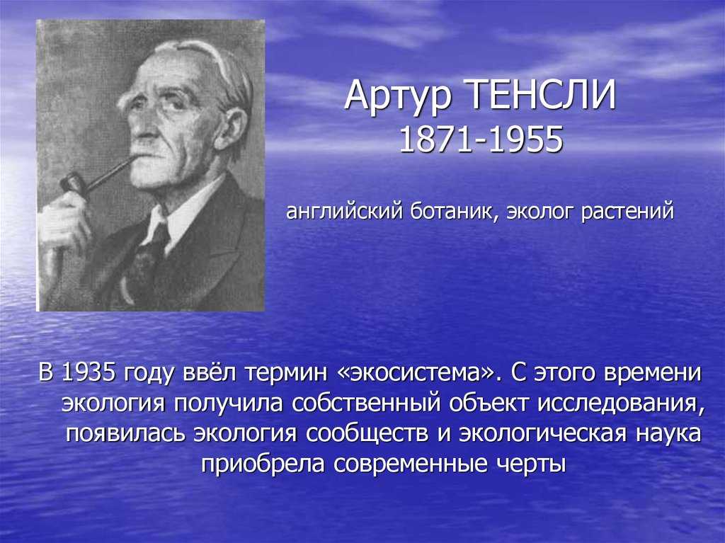 Экология – определение, виды и примеры