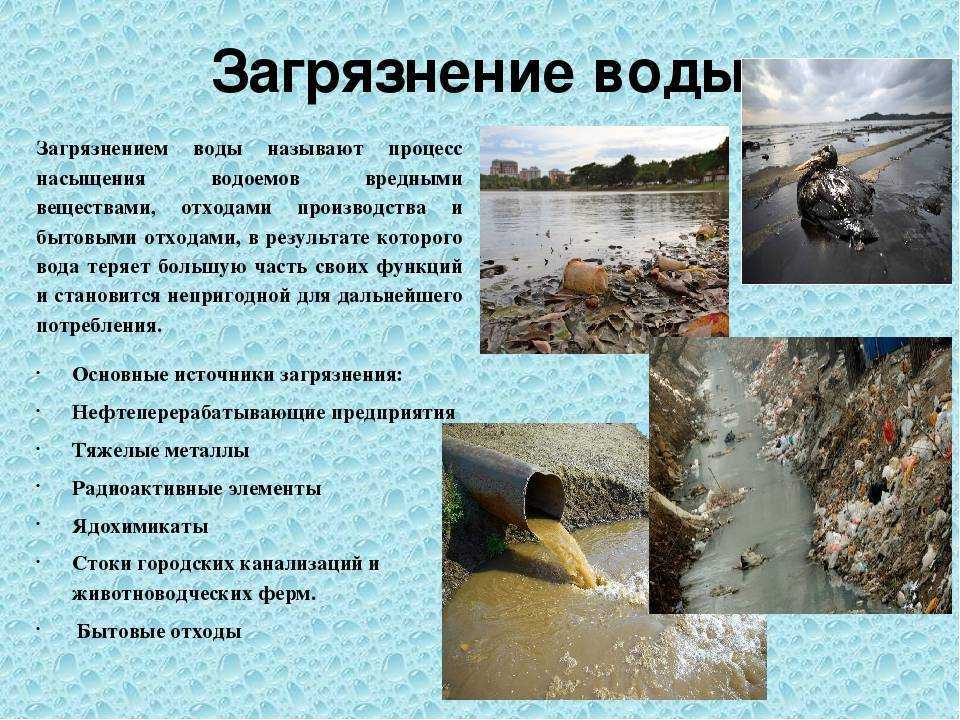 Загрязнение воды: виды, источники и последствия | экология сегодня