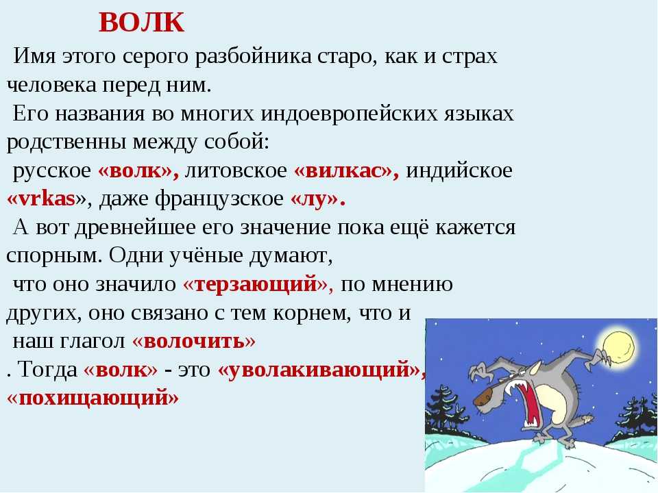Выбираем кличку для овчарки