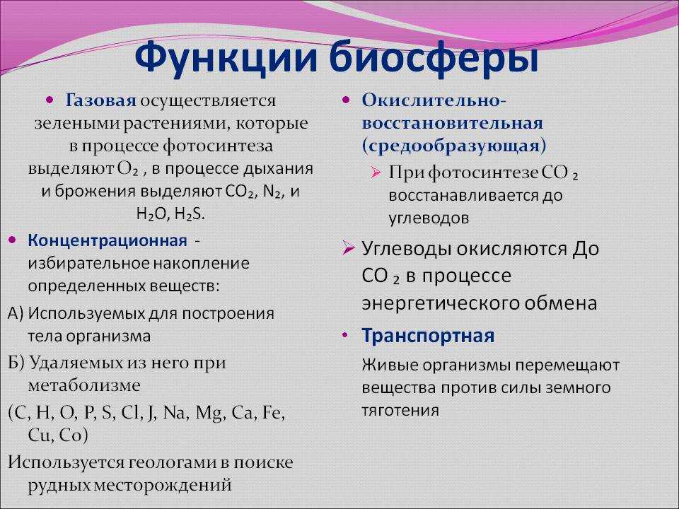 § 52. функции живого вещества