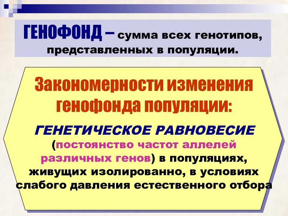 Изменения генофонда популяций