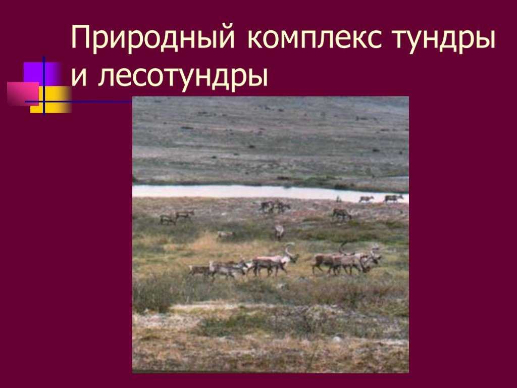 Компоненты географической оболочки