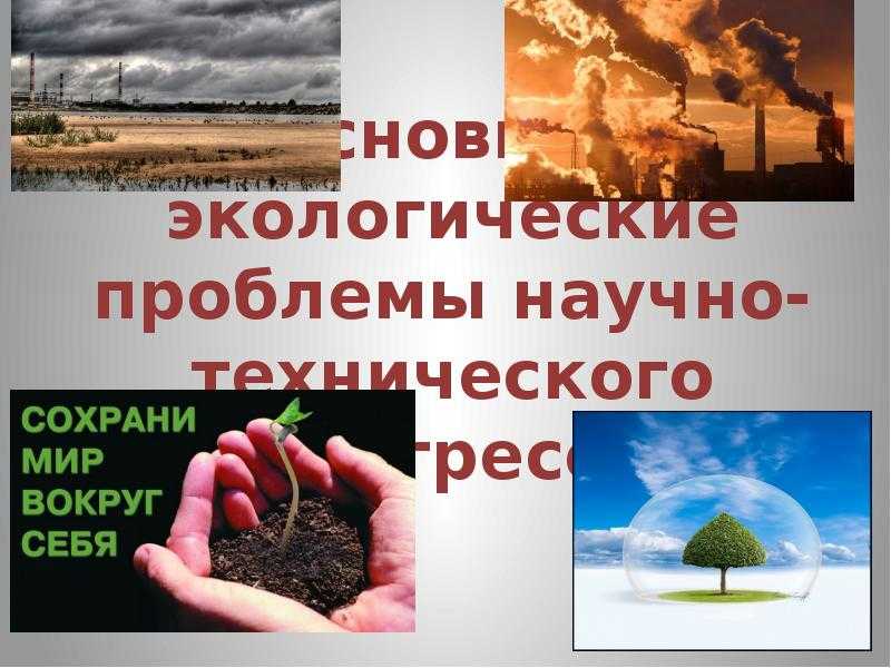 Горный алтай: какое будущее ждет один из самых чистых регионов россии
