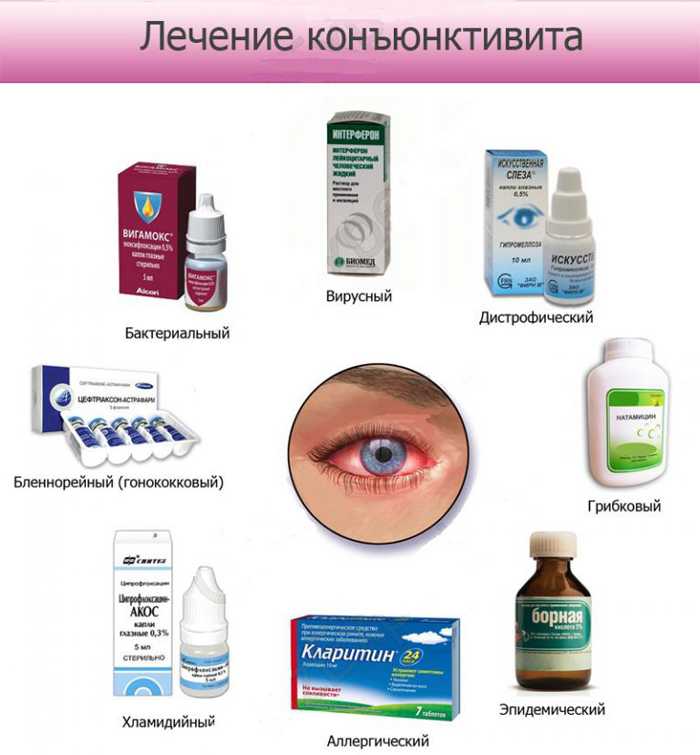 «левомицетин» для кошек: можно ли капать кошке, инструкция по применению, дозировка