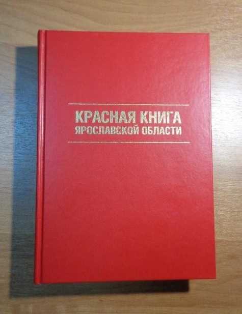 Презентация на тему: "оседлые и кочующие птицы ярославской области. цели: образовательные: познакомить детей с оседлыми и кочующими птицами ярославской области с образом их.". скачать бесплатно и без регистрации.