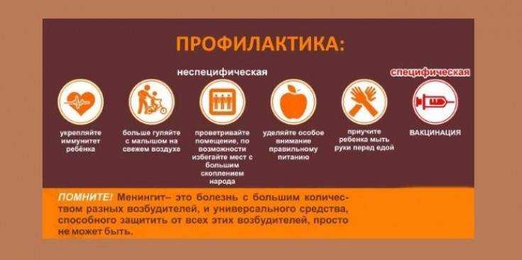 Менингит у собак - симптомы и лечение | здоровье 2024