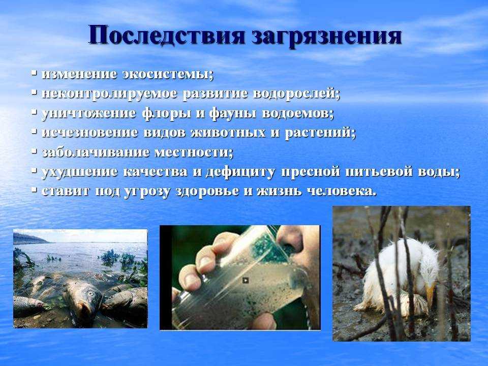 Основы безопасности жизнедеятельности8 класс