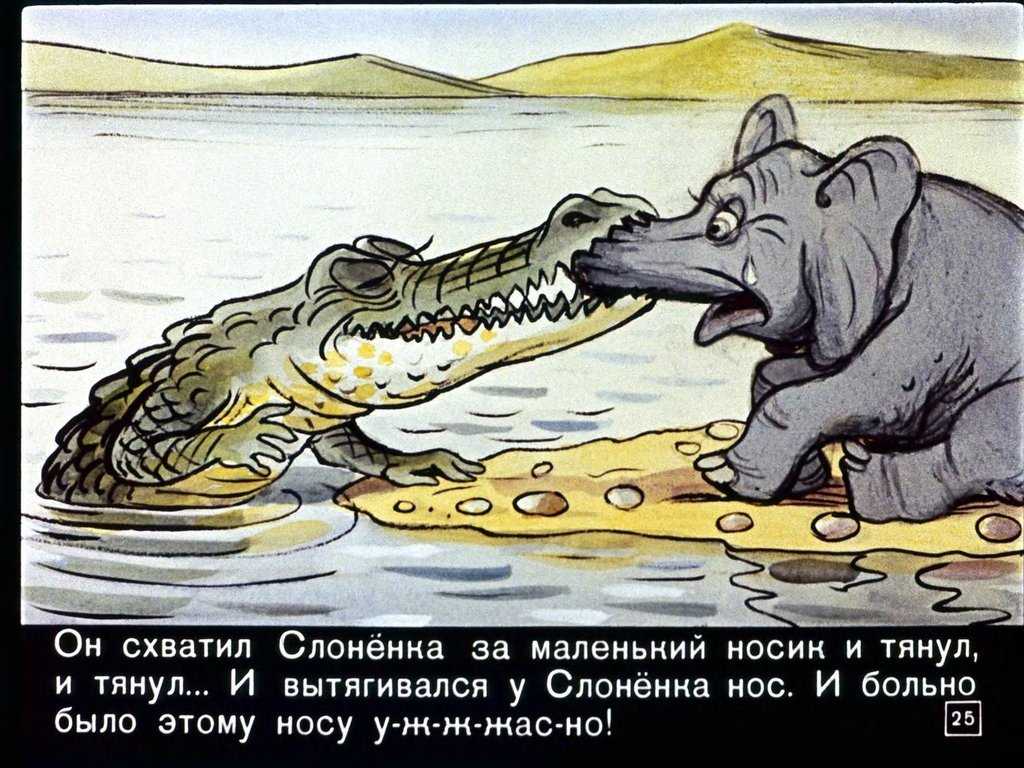 Исследовательский проект
«для чего слону длинный хобот?» | методические разработки  | воспитатель детского сада / всероссийский журнал