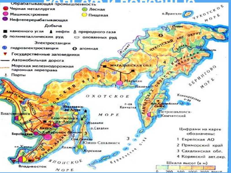 Презентация на тему "природные ресурсы дальнего востока" 8 класс