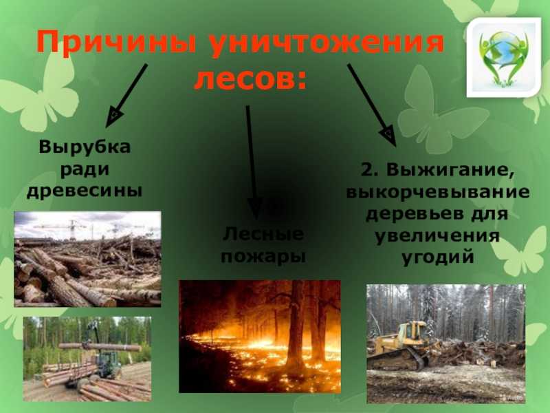 Экологический воспитатель - интересно знать