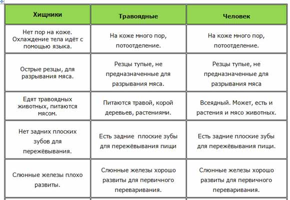 Самые опасные существа, обитающие на территории россии
