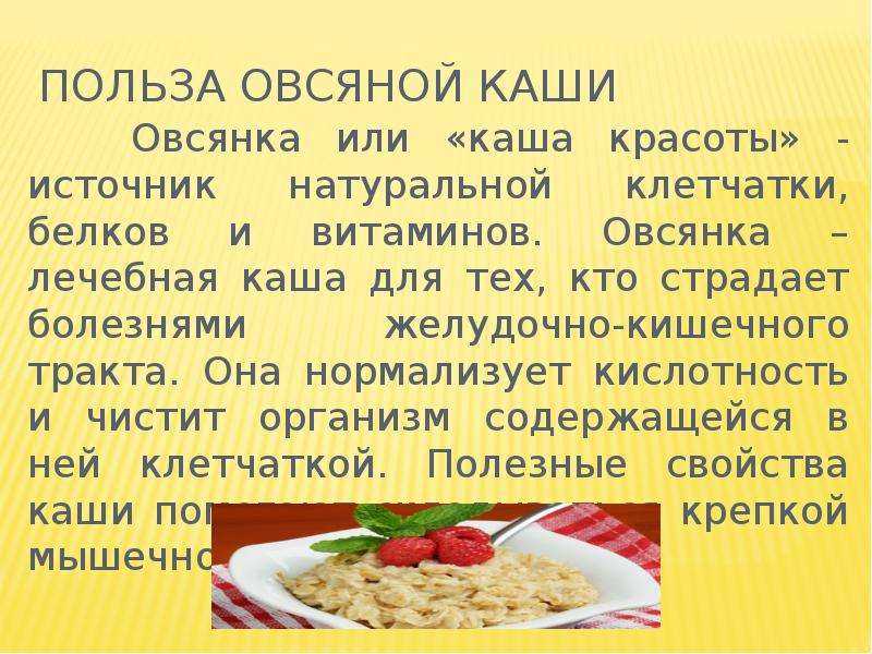 Какие каши давать щенкам? залог правильного питания: какие натуральные продукты разрешено давать щенкам и добавлять в каши