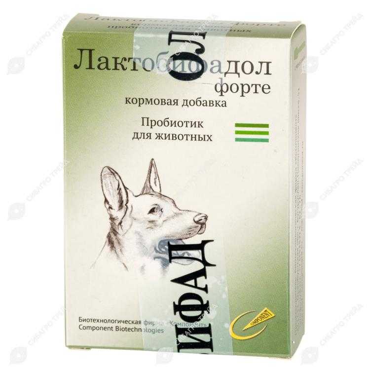 Что такое пробиотики для собак?