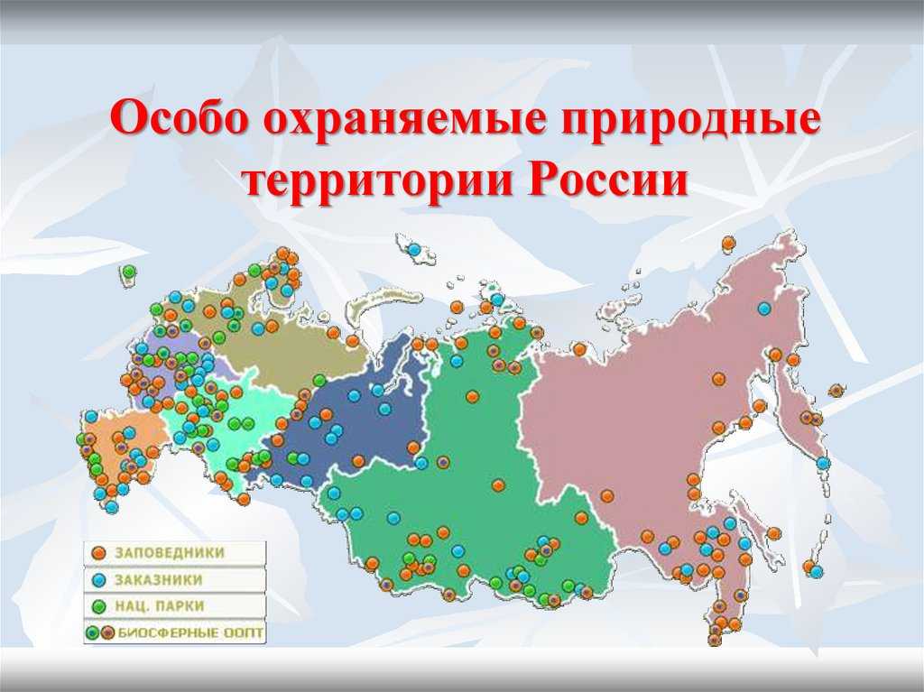 Наш экопортал предлагает узнать особенности использования и охраны объектов природного растительного мира в России Международная правовая охрана