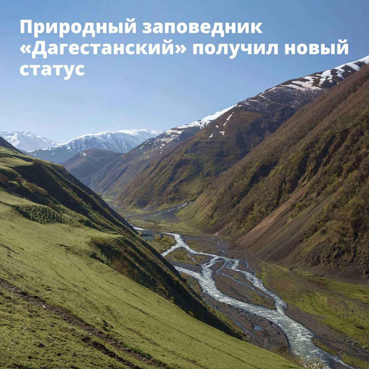 Красная книга республики дагестан — энциклопедия руниверсалис
