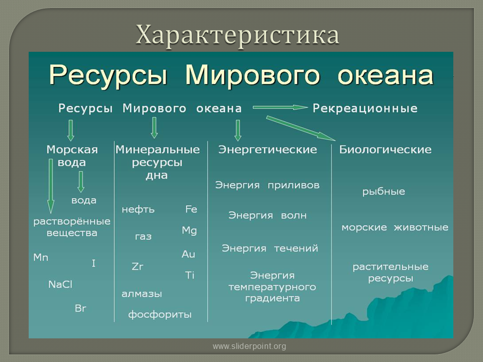 Мировой океан: его части, подробная информация, интересные факты