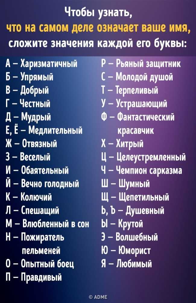 Смешные и красивые клички для собак: имена для разных пород и размеров