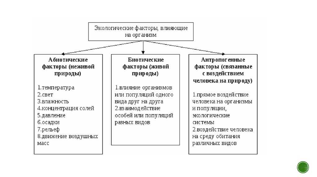 Презентация по дисциплине: биология
на тему:
антропогенные факторы и их