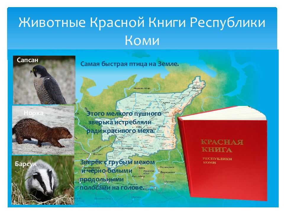 Республика коми
