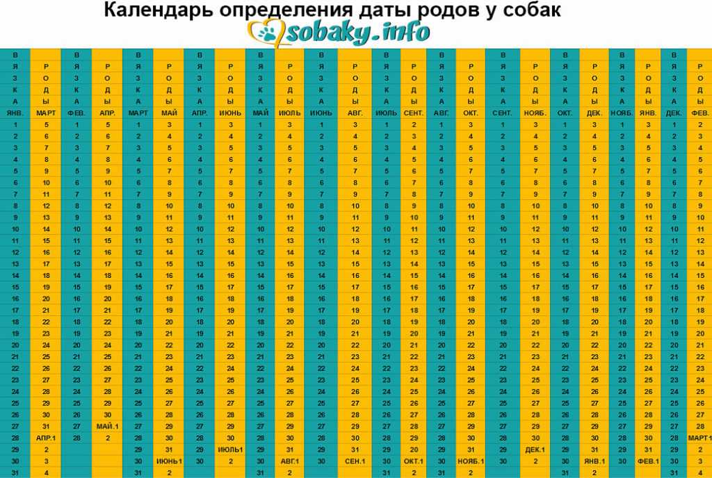Сколько длится беременность у кошек: нормальная, переношенная, недоношенная + онлайн калькулятор