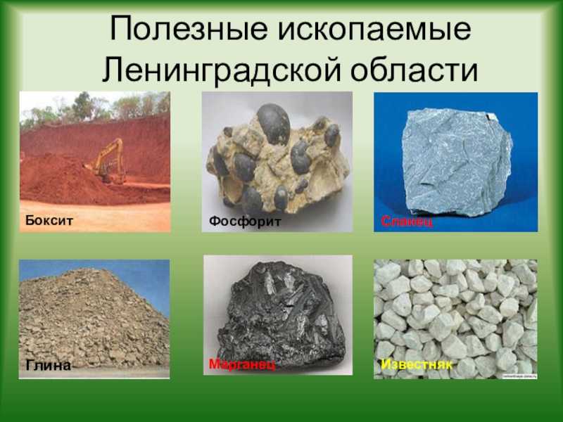 Полезные ископаемые ленинградской области: активно эксплуатируемые и перспективные. месторождения полезных ископаемых ленинградская область