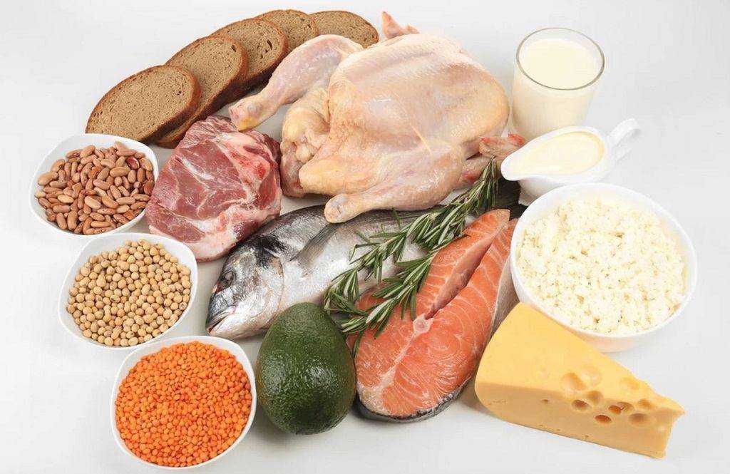 Субпродукты в рационе собак