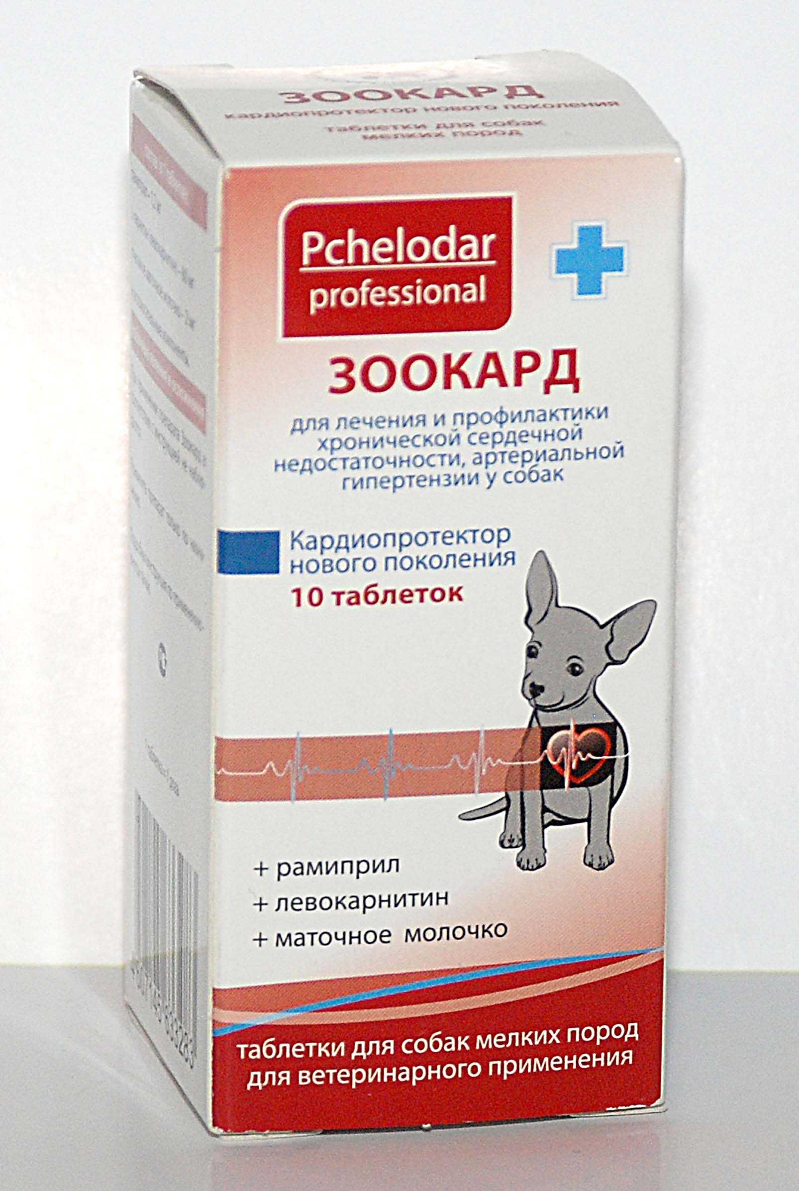 Срок действия зоокард для собаки: как долго можно его применять? - adventureatlas.ru