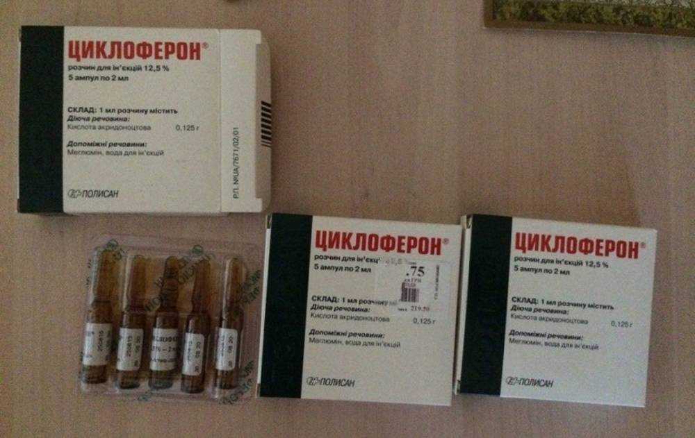 Циклоферон для кошек - инструкция по применению препарата