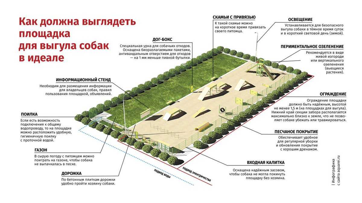 Как похоронить собаку? допустимые места захоронения животных