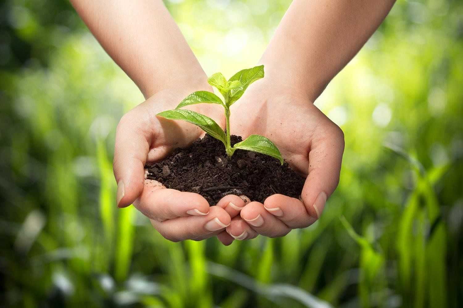 Сельскохозяйственная экология: способы получения и применение