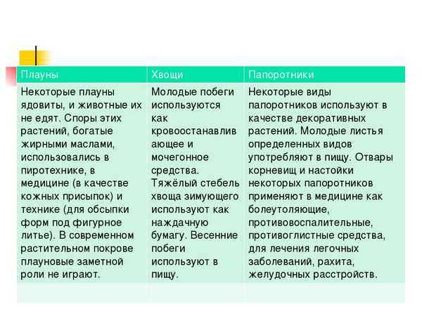 Споровые растения - умскул учебник