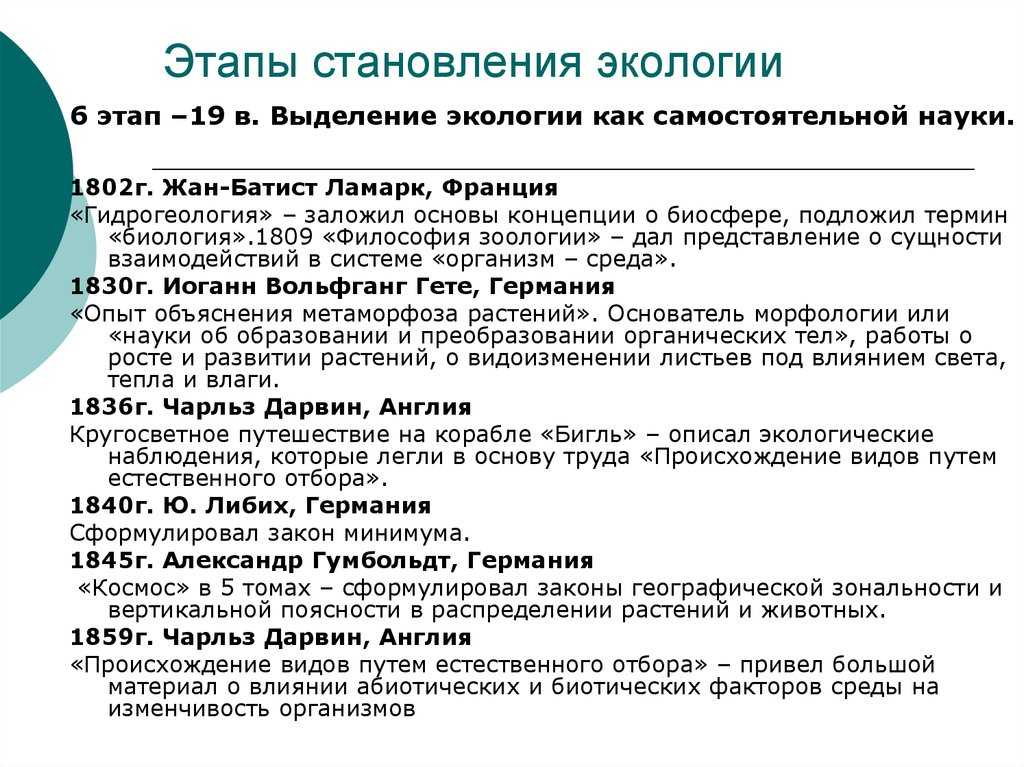 Экология - определение, что изучает, кто ввел термин, основные понятия