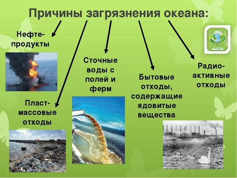 Загрязнение мирового океана: основные источники и последствия