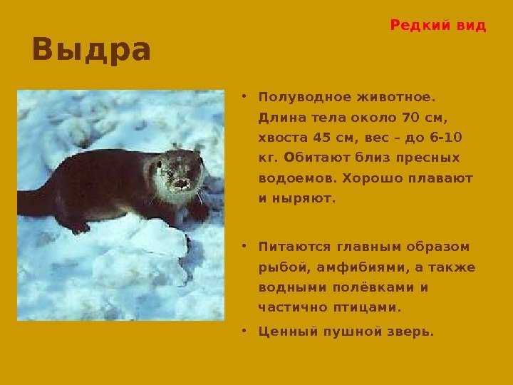 Красная книга чувашской республики