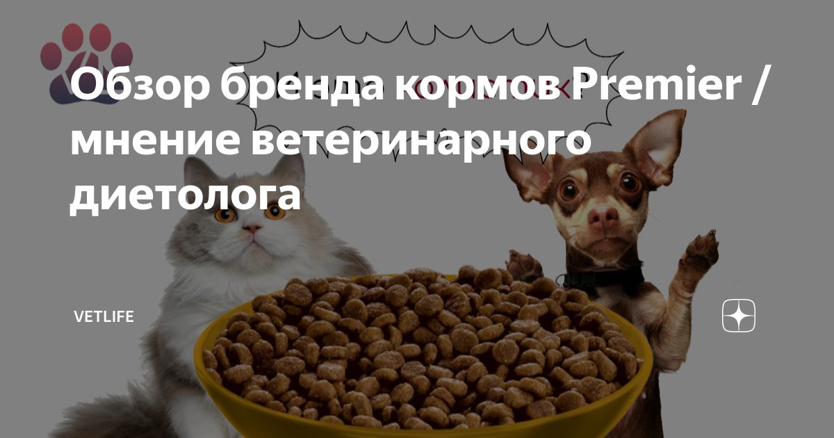 Чувствуют ли собаки сладкий вкус. понимают ли собаки, когда их целуют: разбираемся в чувствах и эмоциях питомца