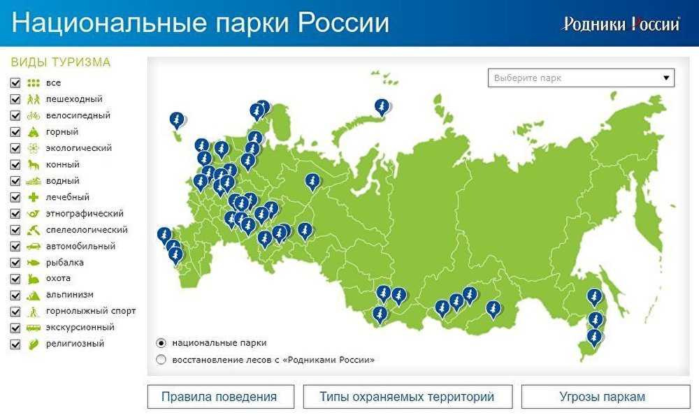 Смешанные и широколиственные леса - характеристика природной зоны