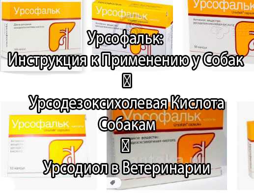 Рыбий жир для собак и щенков: дозировка, польза и вред применения