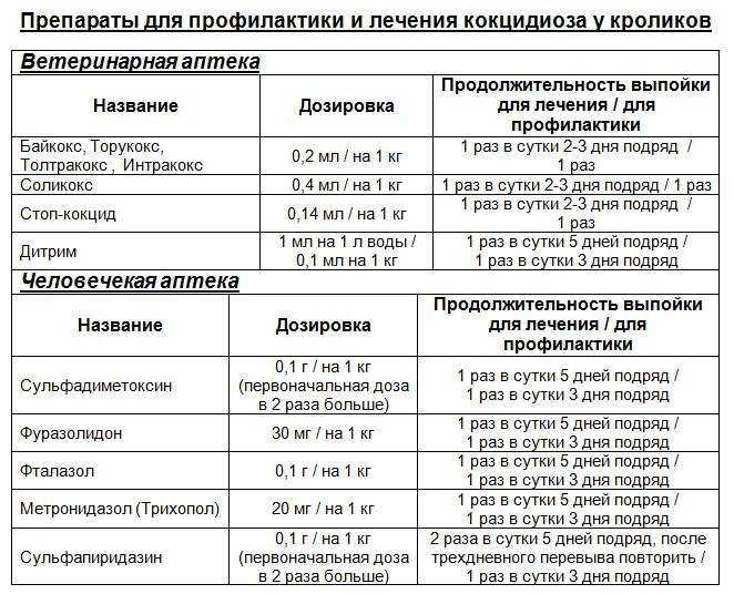 Всё, что вам необходимо знать про лекарство стоморджил для собак