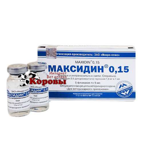 Максидин для собак и кошек: инструкция по применению