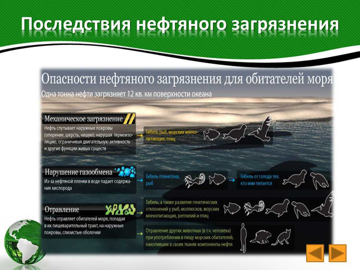 Загрязнение мирового океана нефтью. причины, последствия, пути решения