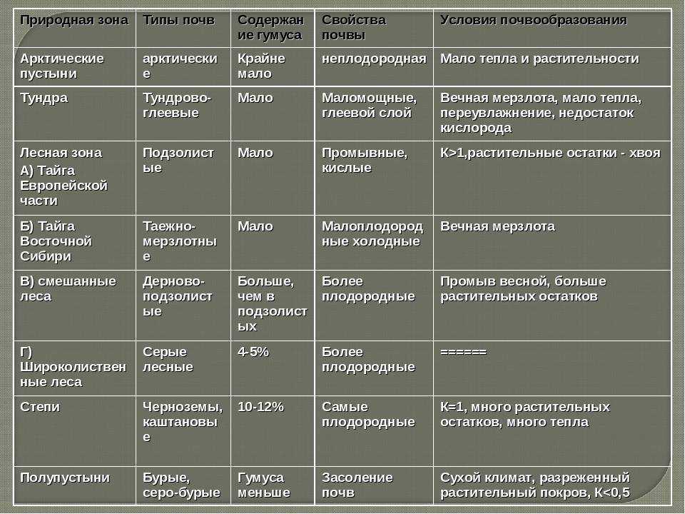 Особенности широколиственных лесов